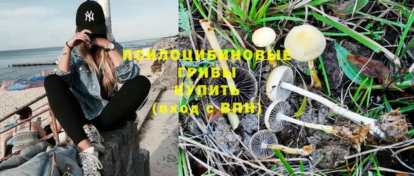МДМА Белокуриха