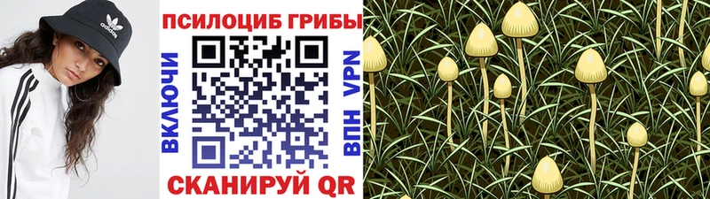 Галлюциногенные грибы Magic Shrooms  дарнет шоп  Великие Луки 