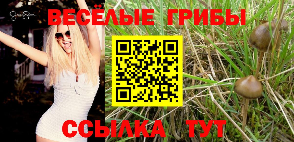 Галлюциногенные грибы мухоморы Великие Луки