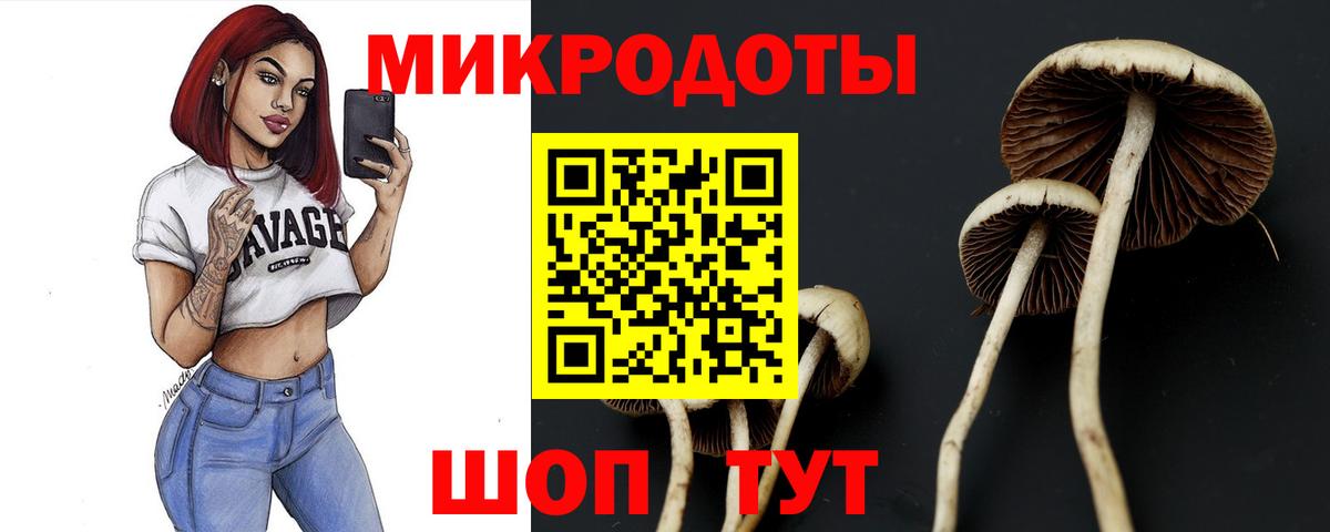 цены   Вход с VPN  Великие Луки  Галлюциногенные грибы GOLDEN TEACHER 